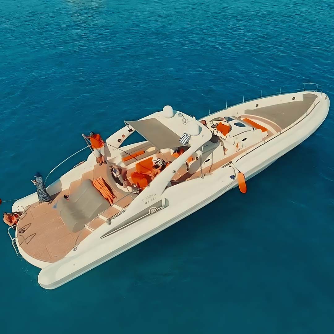 Semi-Private Top-Rated Swimming Trip — 4 Hours All Inclusive