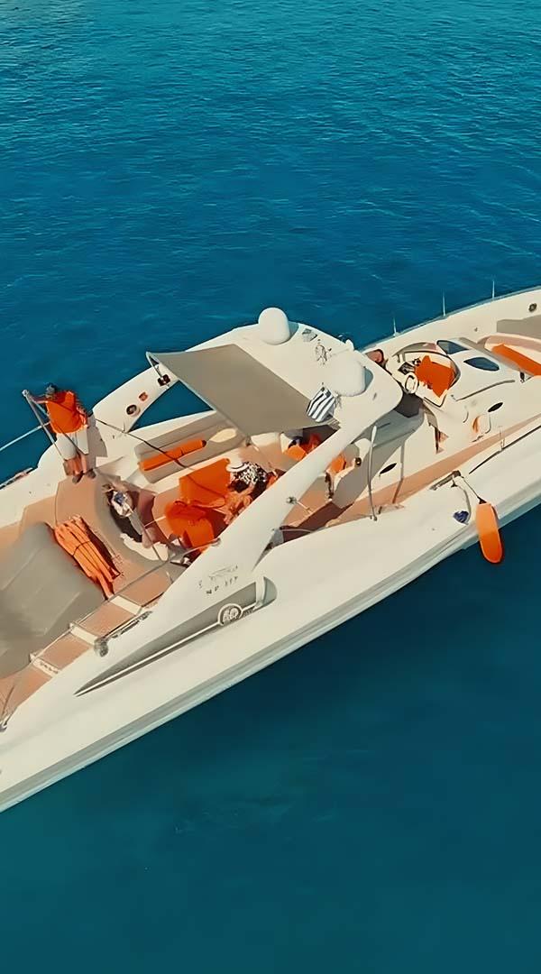 Semi-Private Top-Rated Swimming Trip — 4 Hours All Inclusive