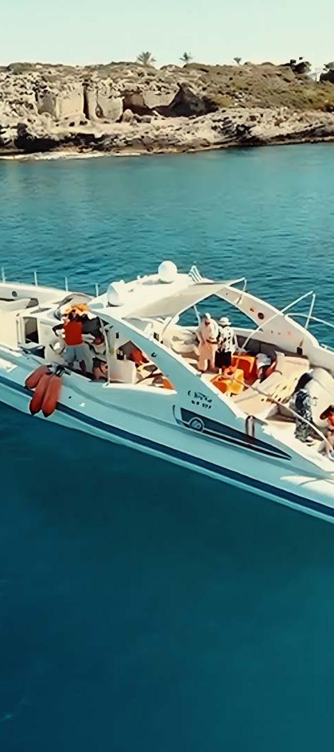 Semi-Private Top-Rated Swimming Trip — 4 Hours All Inclusive — photo 2